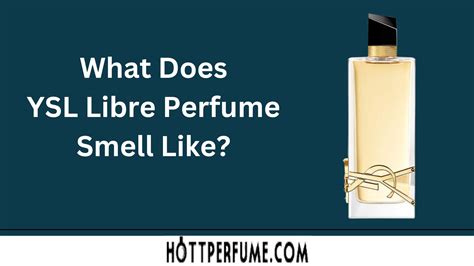 ysl paris perfume libre|YSL libre perfume smell like.